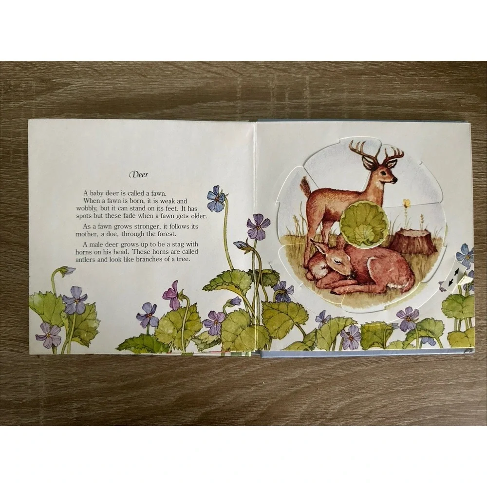 Baby‎ Animals  A Change-A-Picture Book  by Larry Shapiro 1979 Discovery Toys GUC